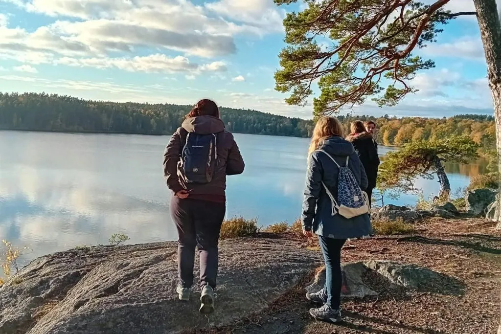 Parc national de Tyresta : Randonnée au coucher du soleil + transport aller-retour + dîner