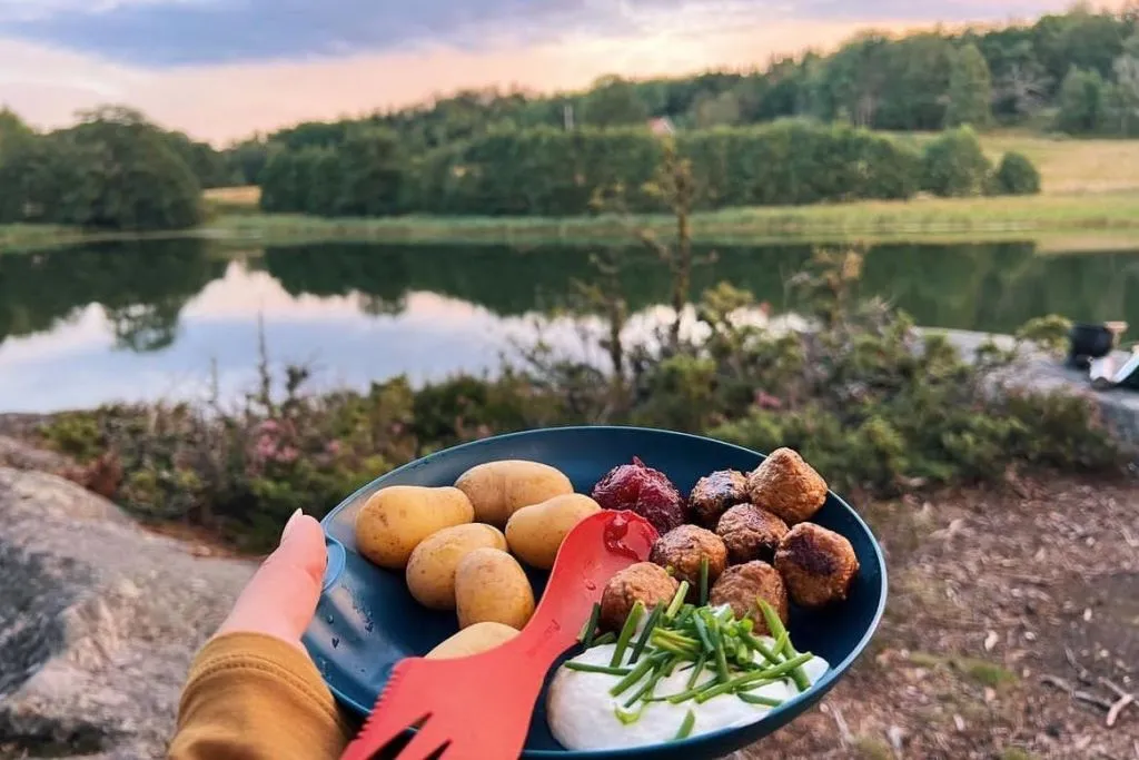 Parc national de Tyresta : Randonnée au coucher du soleil + transport aller-retour + dîner