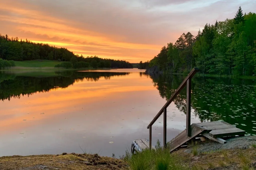 Parc national de Tyresta : Randonnée au coucher du soleil + transport aller-retour + dîner