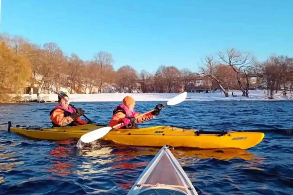 Stockholm: Winter Kayak Tour