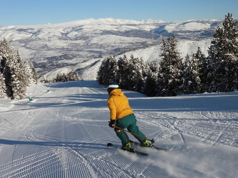 Masella