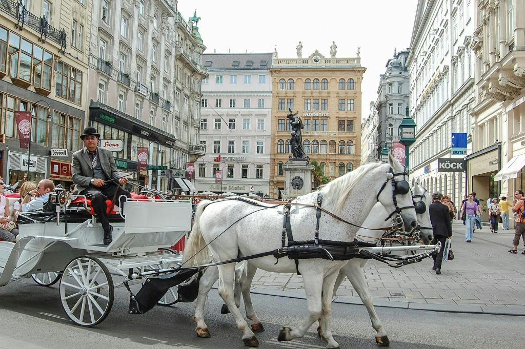 Palacio de Hofburg y Museo de Sisi: Tour guiado