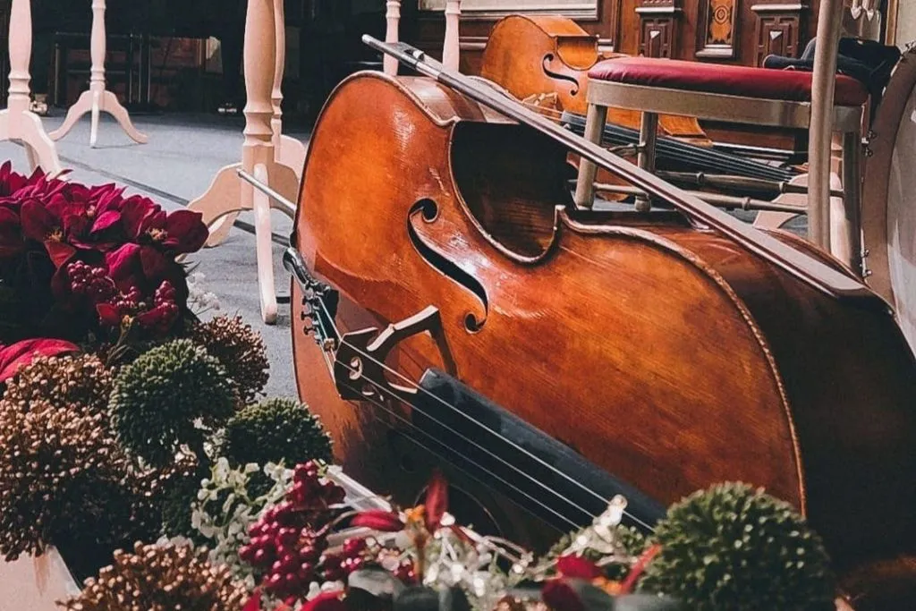 Palais Eschenbach: Concerti supremi di Vienna