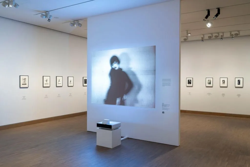 Musée Albertina Modern : Billet d'entrée
