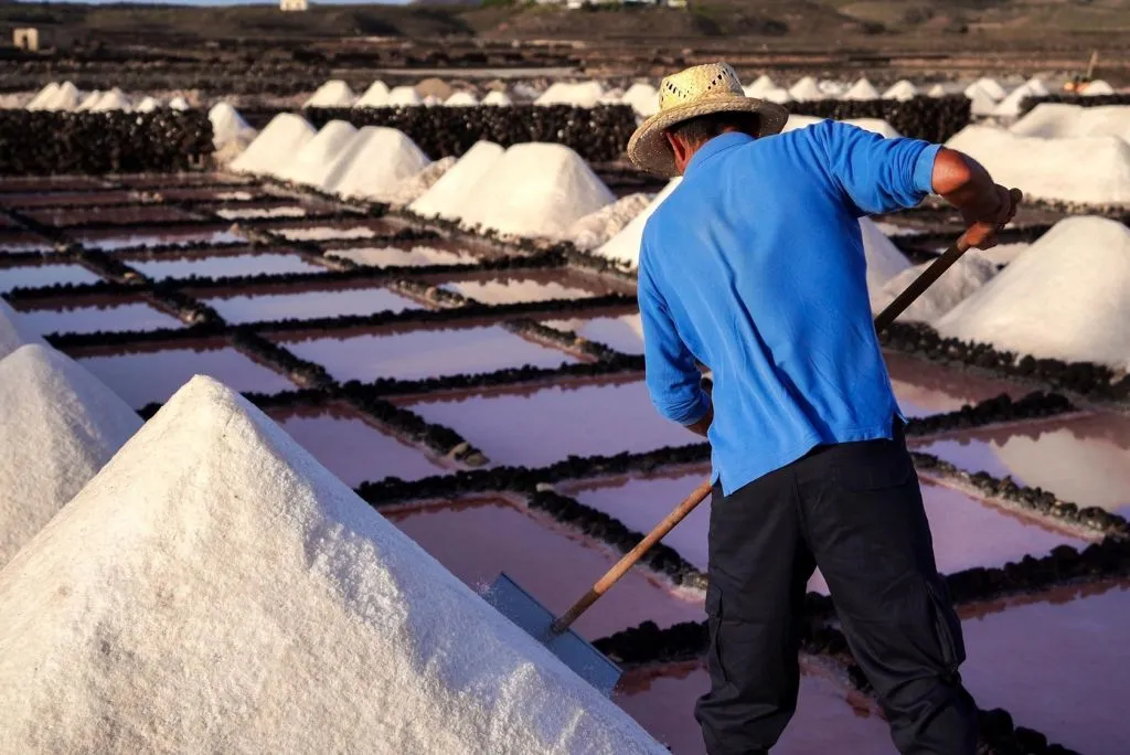 Visita guiada a las Salinas de Janubio