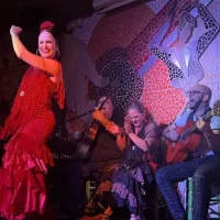 Tablao Flamenco El Toro y la Luna Show & Dinner & Drink