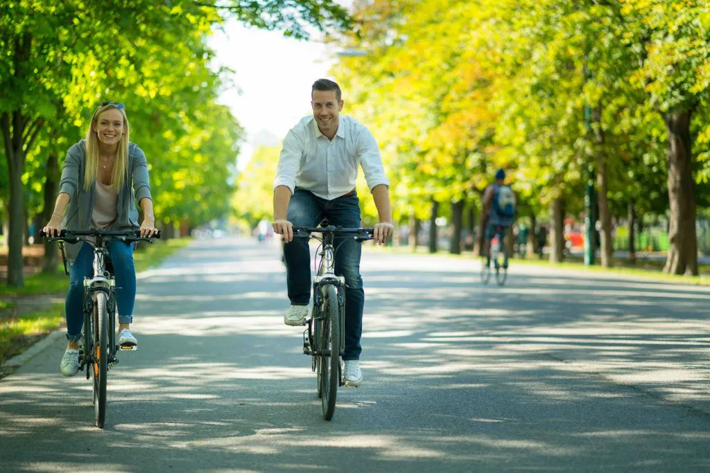 Vienne : Tour à vélo des points forts
