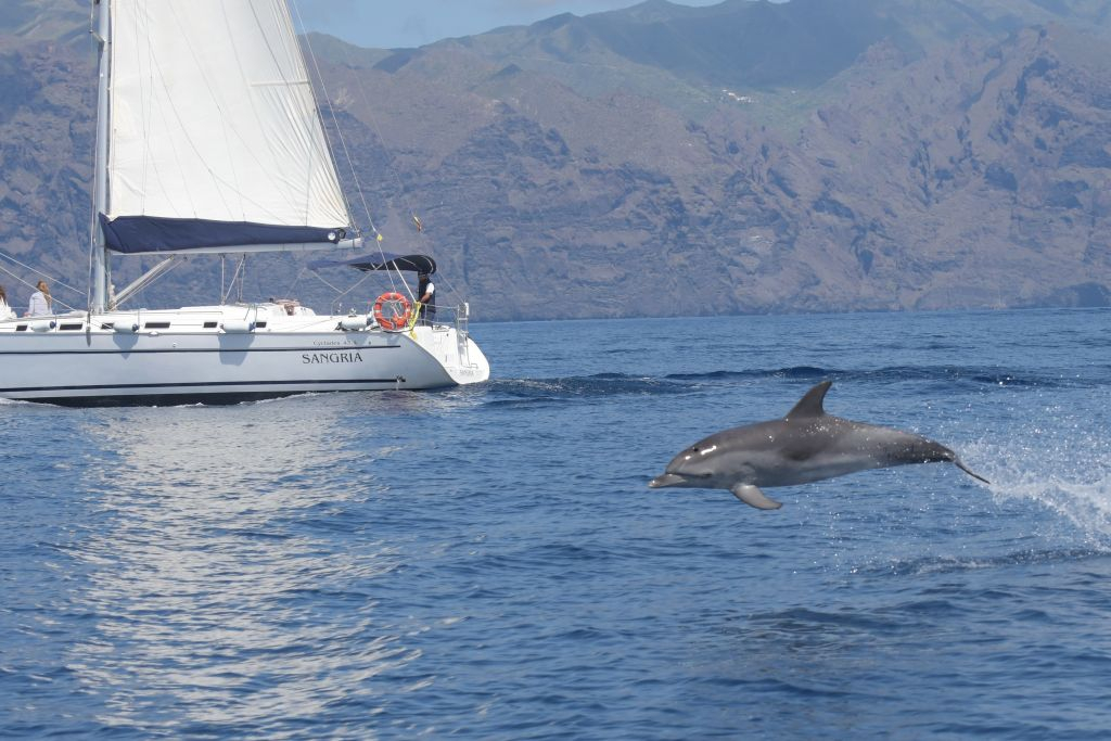 Tenerife: Excursión en velero de 3 horas a Los Gigantes con snorkel, bebida y tapas