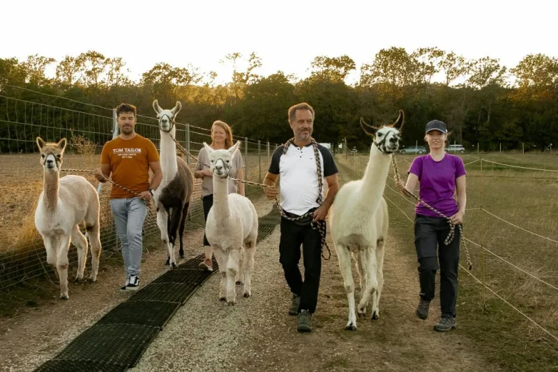 Mödling Vienne : Randonnée avec des alpagas et des lamas