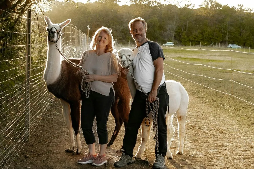 Mödling Viena: Caminhada com Alpaca e Lhama