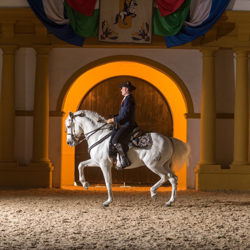 Royal Andalusian School of Equestrian Art