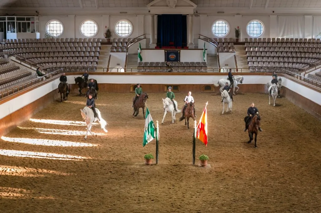 Royal Andalusian School of Equestrian Art