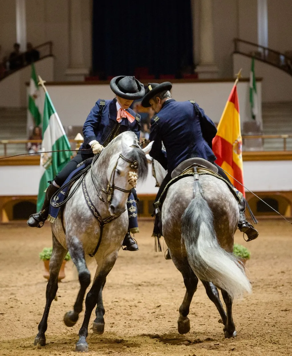 Royal Andalusian School of Equestrian Art