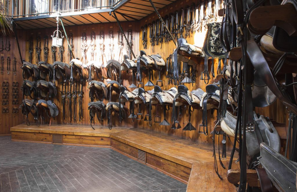 Royal Andalusian School of Equestrian Art