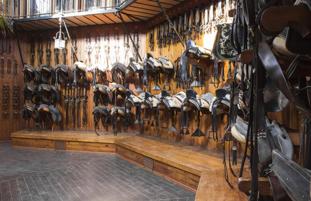 Royal Andalusian School of Equestrian Art