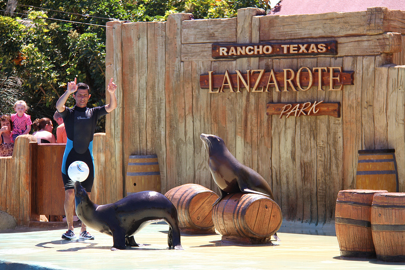 Parco Rancho Texas Lanzarote: Biglietto d'ingresso