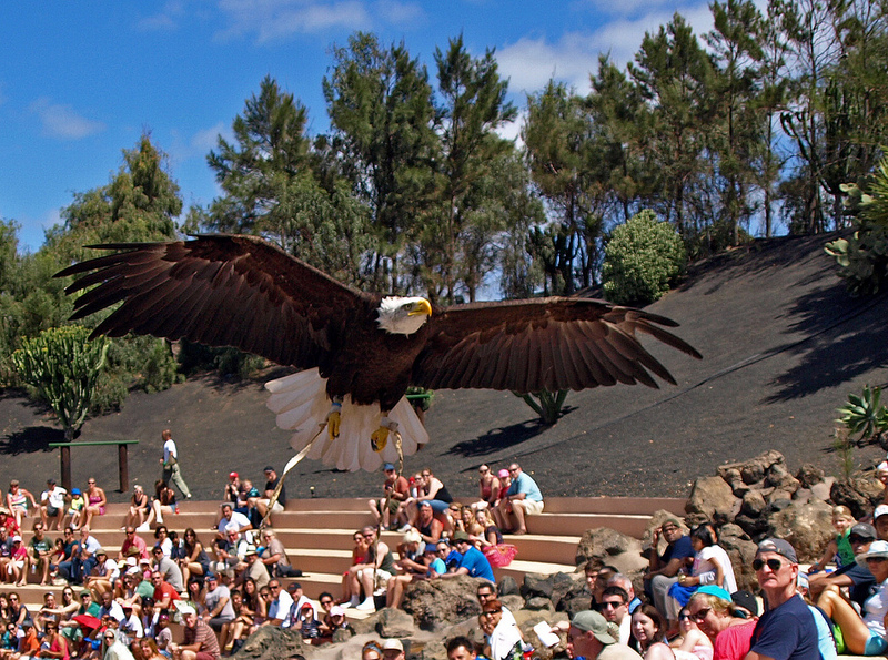 Parco Rancho Texas Lanzarote: Biglietto d'ingresso