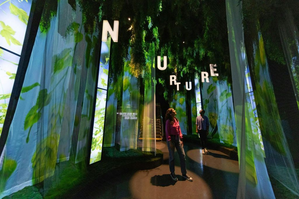 Guinness Storehouse: Entry Ticket + Free Drink