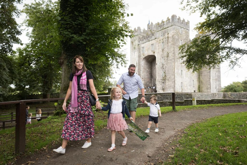 Bunratty Castle & Folk Park: Entry Ticket