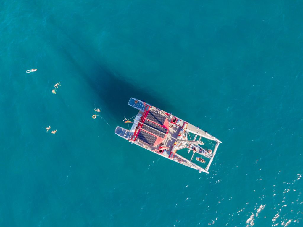 Tenerife: Passeio de Eco-Catamarã de 3 horas para observação de baleias e golfinhos
