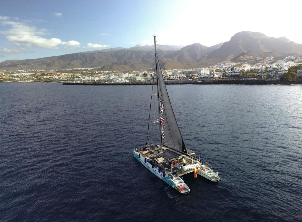 Avistamiento y escucha de ballenas y delfines en velero