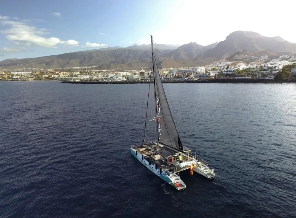 Avistamiento y escucha de ballenas y delfines en velero