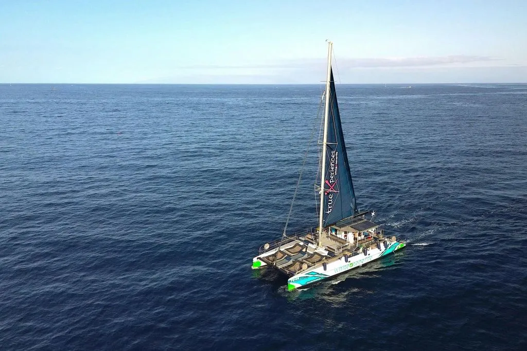 Avistamiento y escucha de ballenas y delfines en velero