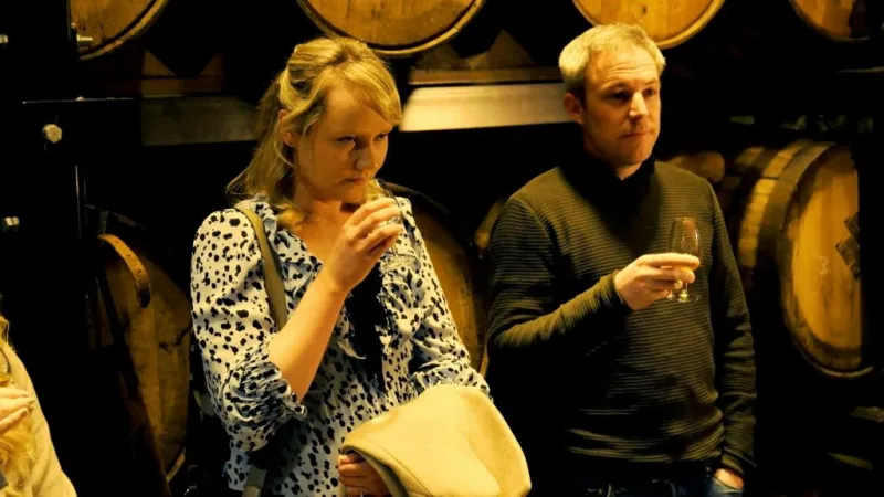 Trilha de destilarias de Dublin: Visita guiada privada VIP