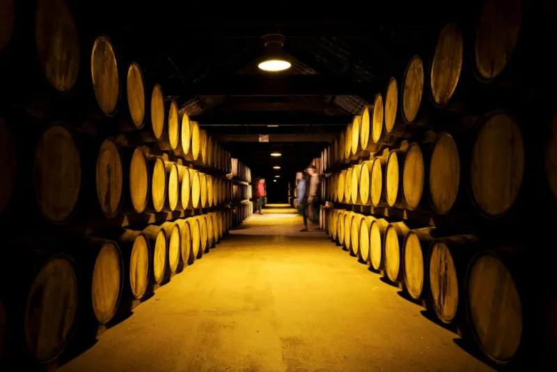 Distillerie Midleton (Jameson) : Visite guidée des coulisses