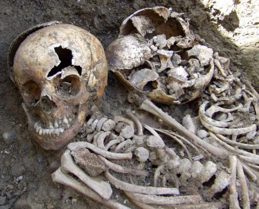 Irish Potato Famine Exhibition