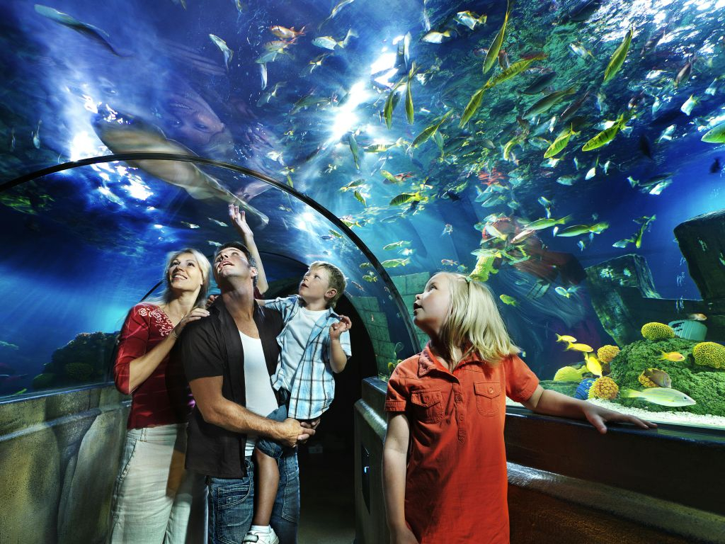 LEGOLAND® Billund: Entry Ticket