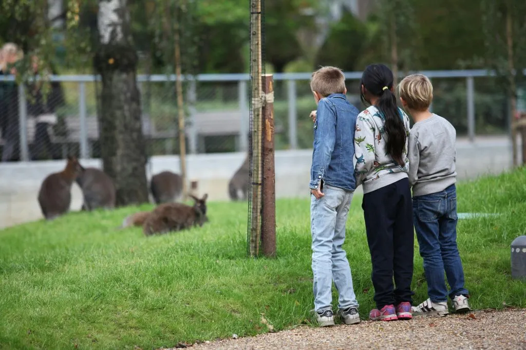 Zoológico de Copenhaga: bilhete sem filas