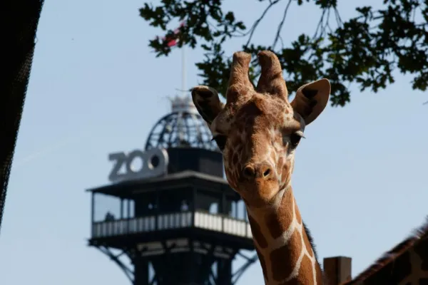 Zoológico de Copenhaga: bilhete sem filas