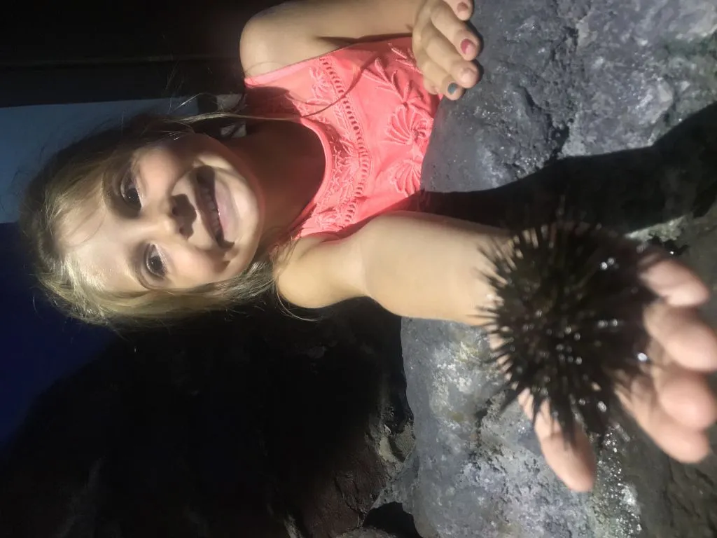 Acuario de Lanzarote: Entrada sin colas