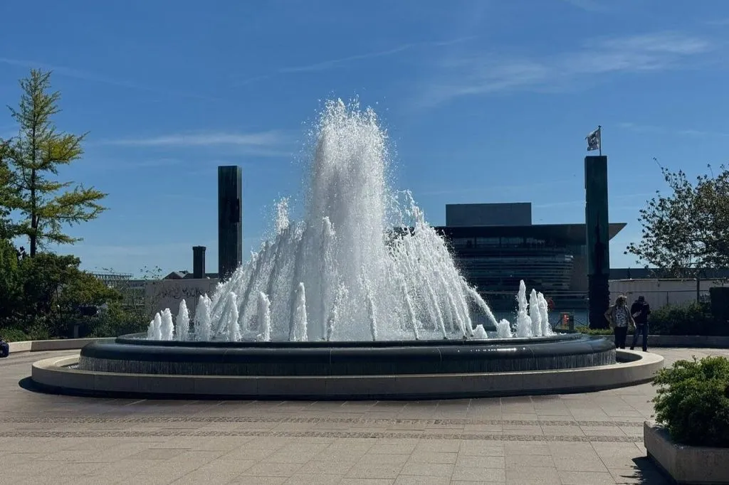 Copenhague : Visite guidée à pied des attractions incontournables