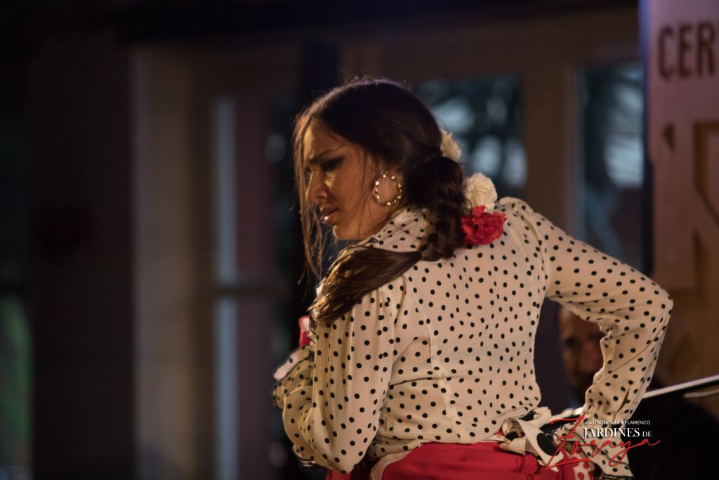 Jardines de Zoraya: Espectáculo Flamenco