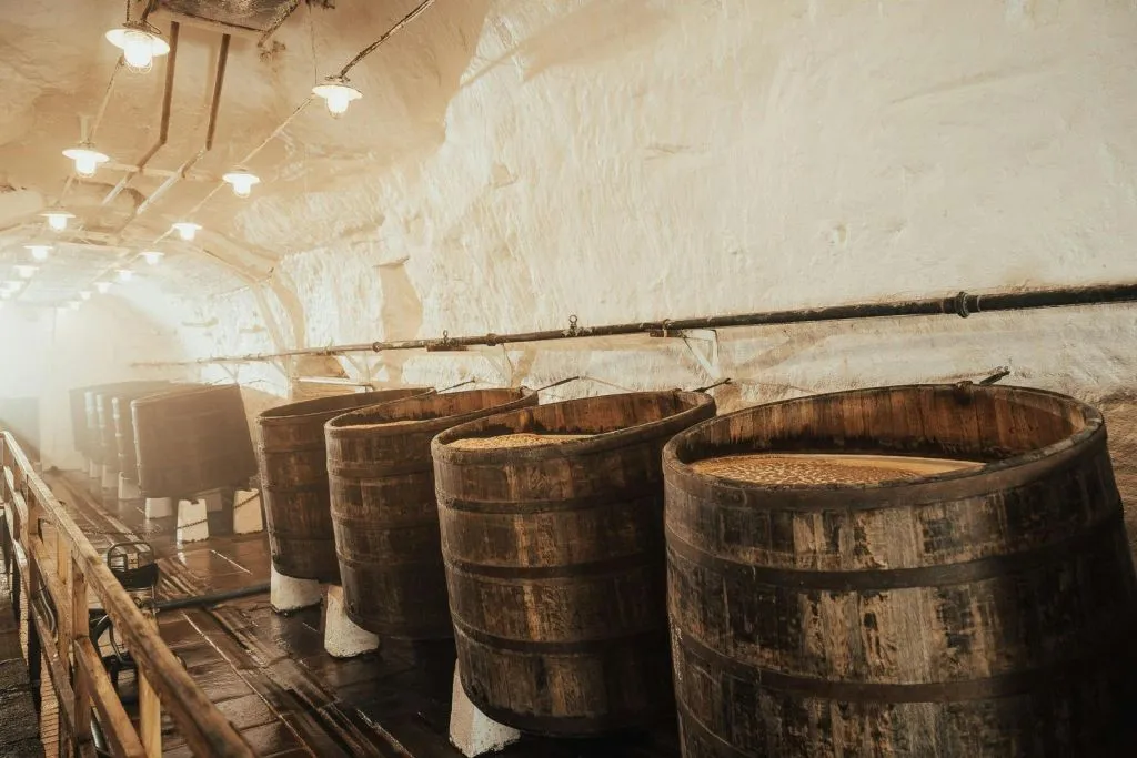 Pilsner Urquell Brewery: Guided Tour with Beer Tasting