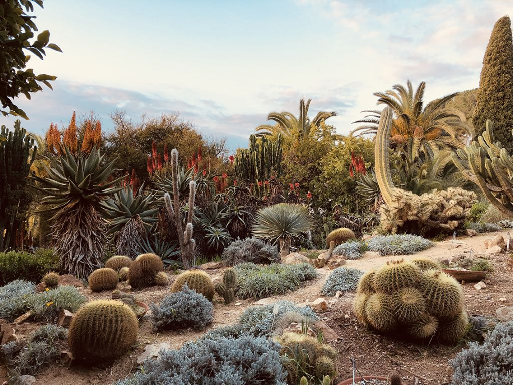 Marimurtra Botanical Garden