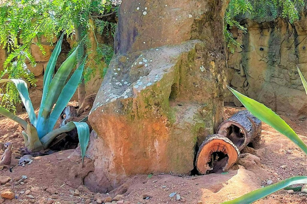 Zoo di Praga: Biglietto d'ingresso + Audioguida