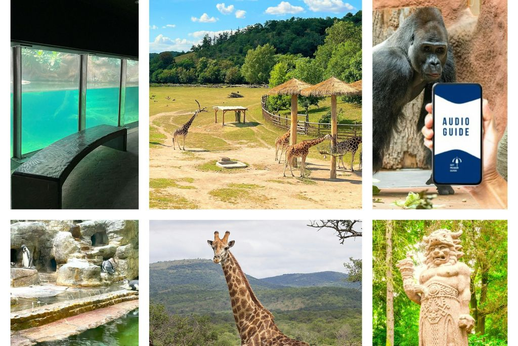 Zoo di Praga: Biglietto d'ingresso + Audioguida