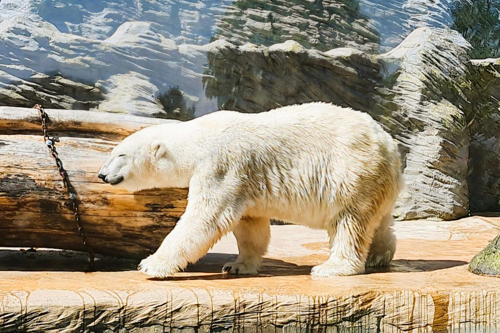Zoo di Praga: Biglietto d'ingresso + Audioguida
