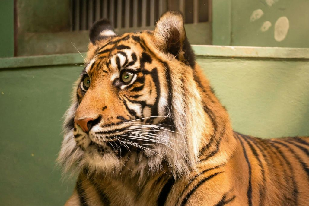 Zoo di Praga: Biglietto d'ingresso + Audioguida