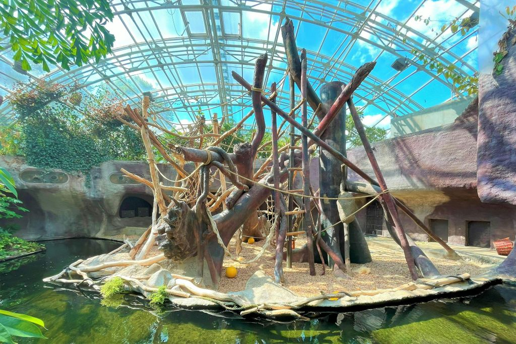 Zoo di Praga: Biglietto d'ingresso + Audioguida