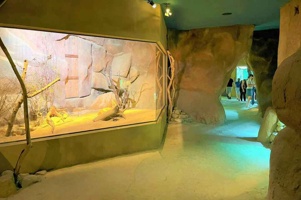 Zoo di Praga: Biglietto d'ingresso + Audioguida