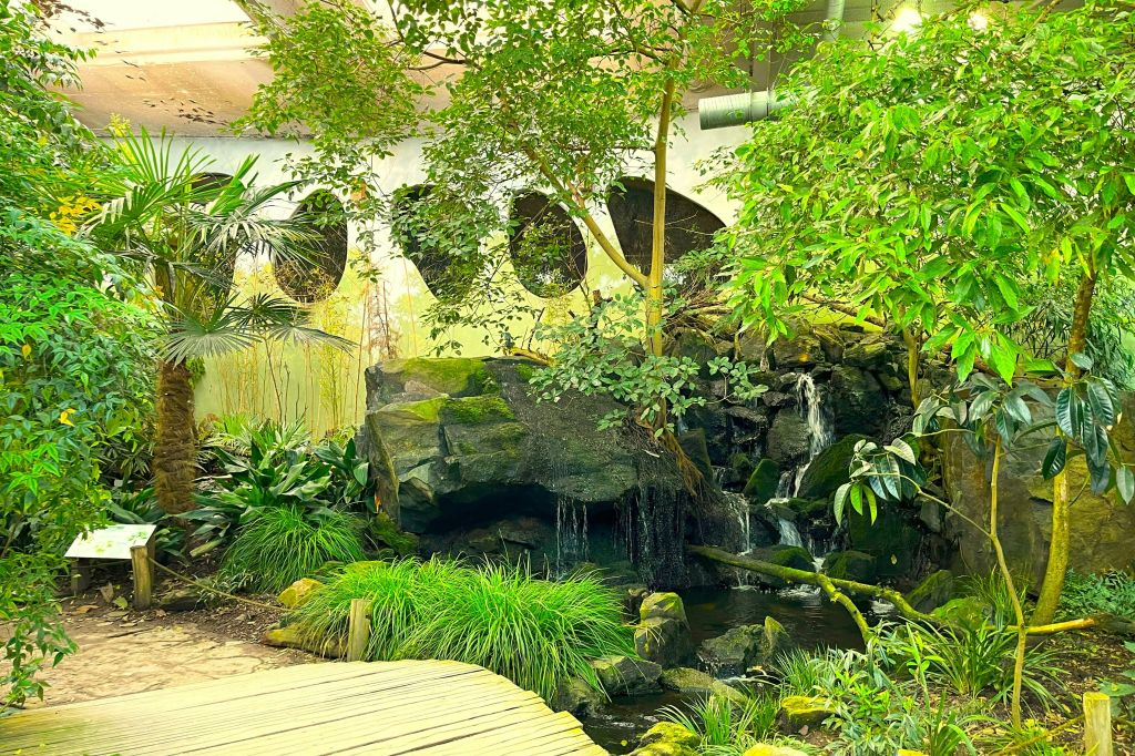 Zoo di Praga: Biglietto d'ingresso + Audioguida
