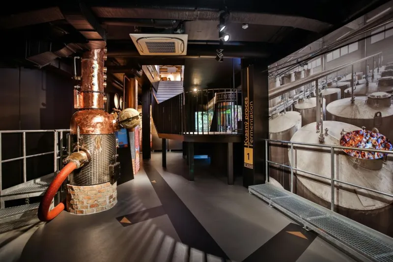 Museu do Slivovitz: bilhete de entrada + Espetáculo de RV 5D + Degustações