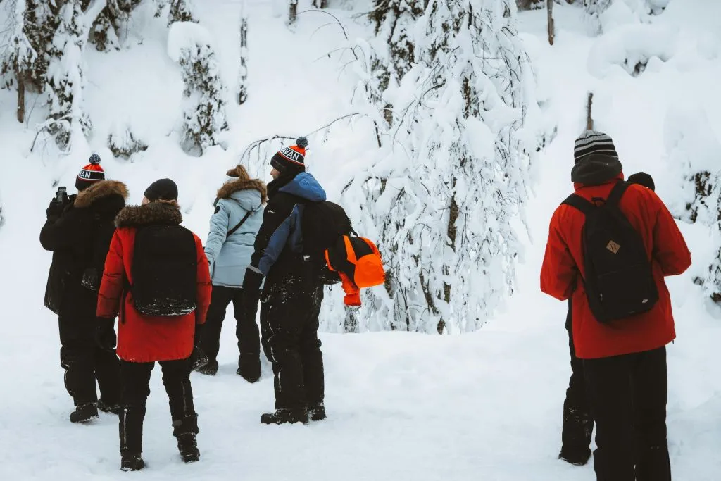 Korouoma Canyon: Frozen Waterfalls Trip From Rovaniemi