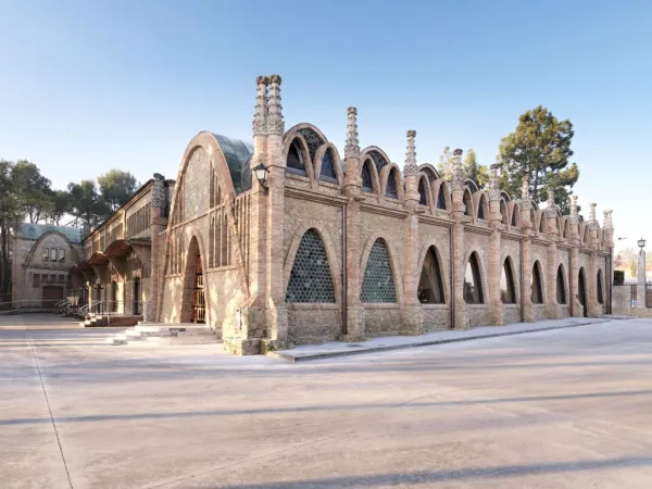 Bodega Codorníu: Tour guiado + Degustación de cava y aperitivos