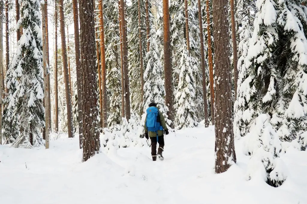 Helsinki: Winter Wonderland Hike