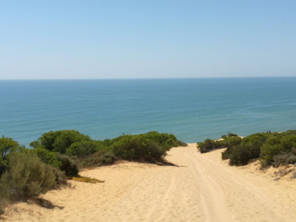 Doñana National Park and El Rocío: Day Trip from Seville